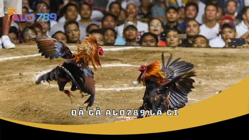 Đá gà ALO789 là gì
