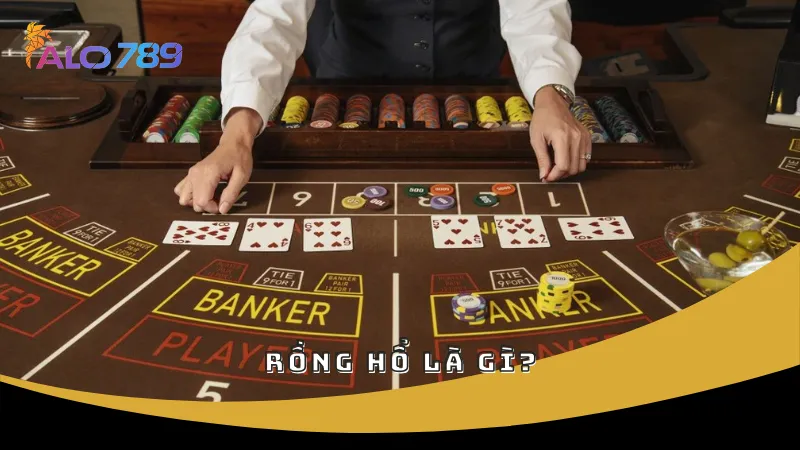 Rồng Hổ là gì?